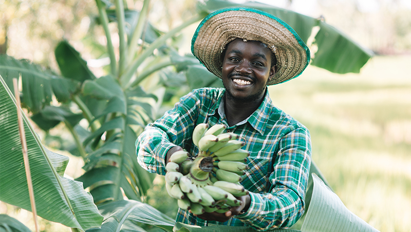 Read more about the article Kwanalu Land Desk